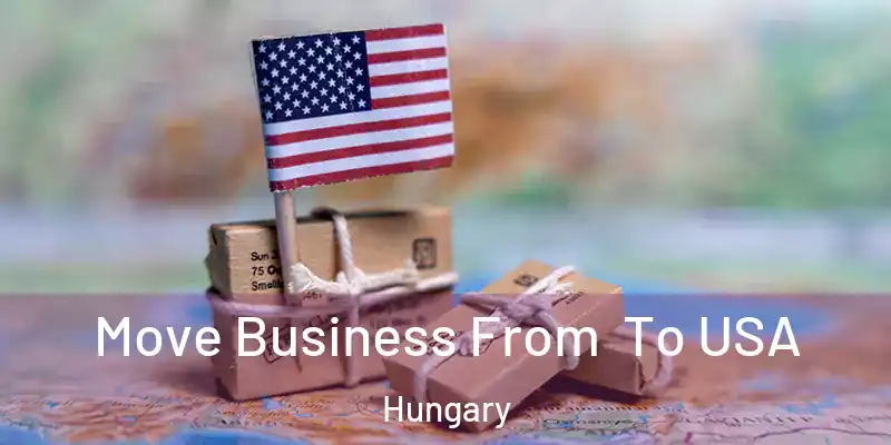  Move Business From To USA Hungary